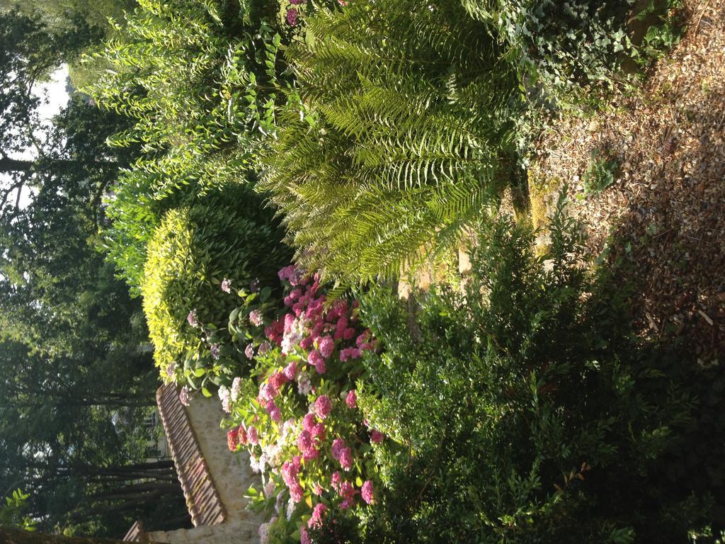 Les Hortensias แคลร์มงต์ ภายนอก รูปภาพ